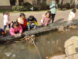 QQ图片20210111123404